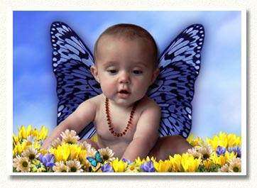bébé papillon